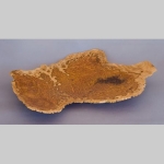 Brown Mallee burr dish